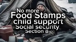 No more FOODSTAMPS, No more FREE RIDE A DAM IS A mother cow kept in the herd for repeated breeding.