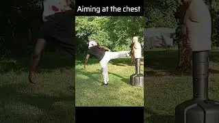 How to counter Back kicks? 🥋