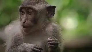 Профессиональный переход с маской matte в After Effects