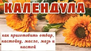 Календула - как приготовить средства из календулы дома