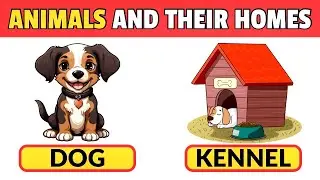 Animals and their homes | Animals Homes Vocabulary for Kids | Animals Shelter​⁠