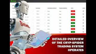 Bitles_Detailed overview of the Cryp-Spider trading system operates
