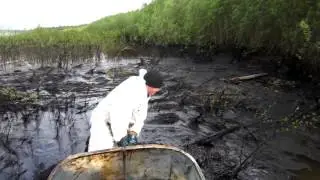Нефтеразливы на Колве