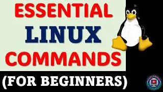 Linux commands for beginners | Basic Linux commands for everyone