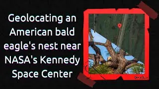 Geolocating an American bald eagle's nest near NASA's Kennedy Space Center | OSINT & GEOINT Tutorial
