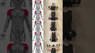 Как накачать плечи?