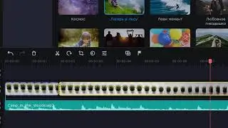 Как ускорить видео в видеоредакторе Movavi