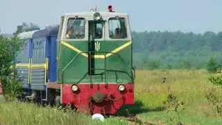 Антоновская узкоколейка / Narrow Gauge Railway Antonivka 2018