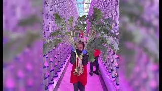 BioTherm - Fully Integrated Climate Systems for Indoor Environments