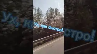 #быстраяезда