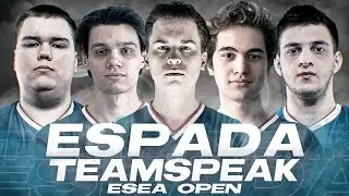 DIMA ИГРАЕТ С КОМАНДОЙ | ТИМСПИК КОМАНДЫ ESPADA | Смешная нарезка CS:GO