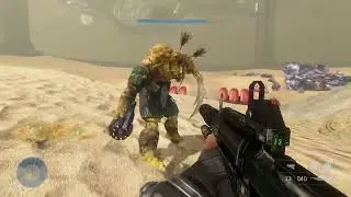 Halo 3   Разумная сволочь