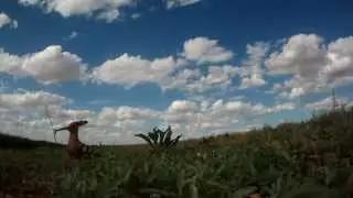 Петушок (Удод)