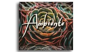 Ambiente Spire VOL 1 Guitar Sample Pack Free | Presets