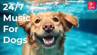 🔴24/7 Dog TV🎵 Relaxing Music for Anxious Dogs🐶 Separation anxiety relief music 💖Dog Sleep🔴