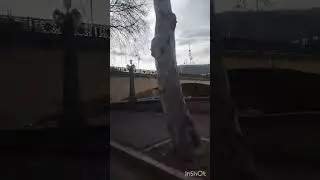 Левая Набережная ,#2