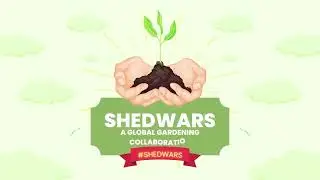SHEDWARS FREE INTRO