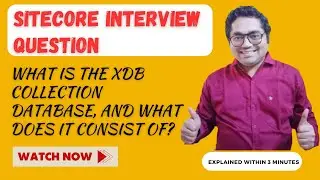 39 - Sitecore Interview Topic : What is the xDB Collection Database, and what does it consist of?