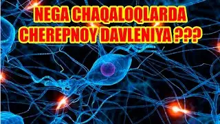 CHAQALOQLARDA CHEREPNOY DAVLENIYA