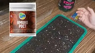 Сажаю 🔥НОВИНКИ🔥 сладкого перца🫑