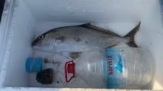 Ölüdenizde akya sezonu yavaştan başladı