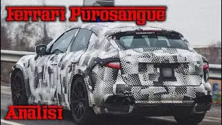FERRARI PUROSANGUE / Analisi e opinioni + FERRARI 812 GTO/VS
