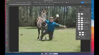 Part 2 Animal Collage
