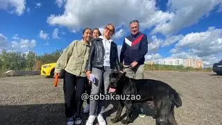 Веня уехал домой! Приют «Щербинка» SOBAKA-UZAO.RU