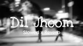 Dil Jhoom Song Slowed - Reverb | Slow & Reverb Lofi | New Song 2024 | #diljhoom #lofi