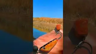Супер приманка для ловли судака в коряжнике#Shorts