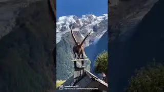 горный тур