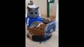я еду на Ламборгини