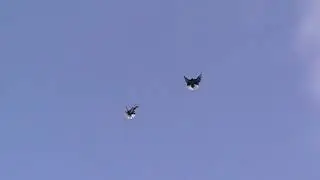 СЕРПАСТЫЕ голуби молодежь