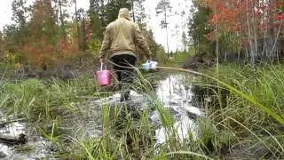 За ГОЛУБИКОЙ-2 27 авг 15 г 11-05