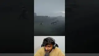 I Was Attacked by Zombie Pig