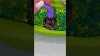 в ванночке водичка подпишись ❤️