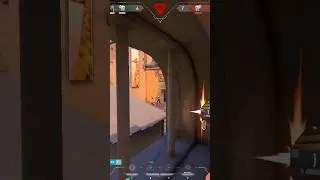 When 1000 IQ REYNA use SAGE Wall                                            