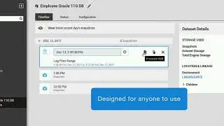 How To Create Database Copies with Delphix