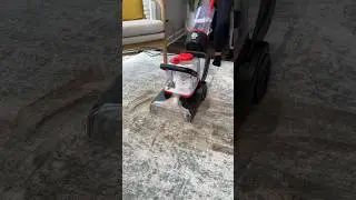Can mud ruin my rug?! #mud #muddytrails #cleaningfails