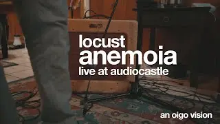 Anemoia - Locust (Live at Audiocastle Studios)