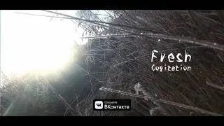 BEAYEE - Fresh (Official Audio)