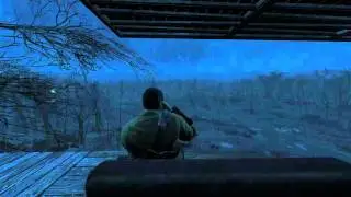 Commonwealth Midnight Storm