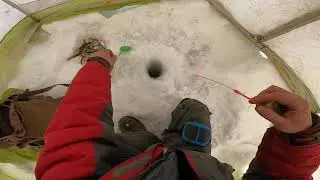 Рыбалка для души! Окунь начинает просыпаться!