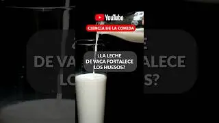 ¿LA LECHE DE VACA REALMENTE FORTALECE LOS HUESOS? #leche #salud #cienciadelacomida #saludósea #mitos