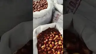 24 марта 2024 г.