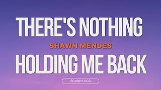 Shawn Mendes ‒ There's Nothing Holding Me Back (Lyrics)