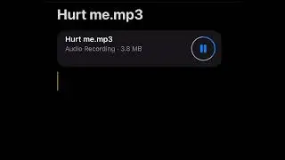 Hurt me -1rich - official audio
