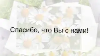 Бизон+YouTube+OBS