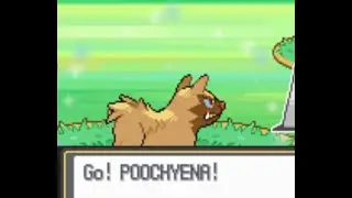 [FLOYT] Wishmaker Event Glitch Explanation + Shiny Pooch after 1955 SR