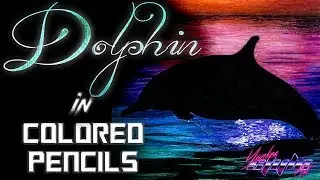 Draw a Dolphin and Sunset